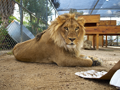 America's Teaching Zoo