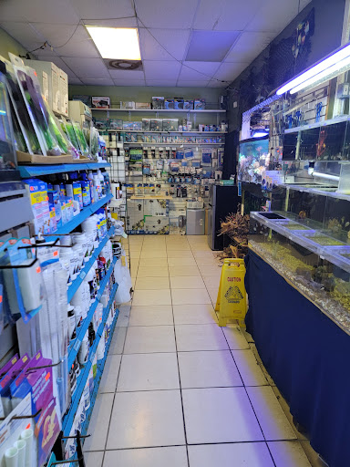 Tropical Fish Store «Coral Reef Aquariums», reviews and photos, 8416 N Armenia Ave, Tampa, FL 33604, USA