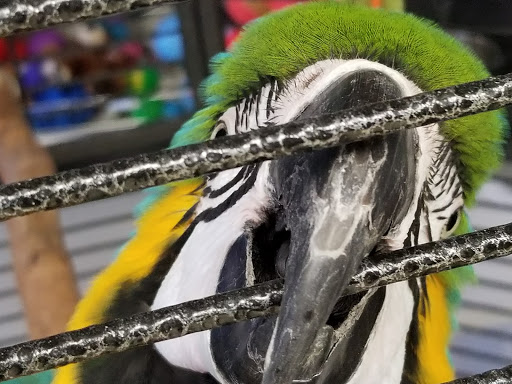 Pet Store «Queen Street Pets», reviews and photos, 10 S Queen St, Rising Sun, MD 21911, USA