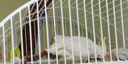 Zoo «Sierra Safari Zoo», reviews and photos, 10200 N Virginia St, Reno, NV 89506, USA