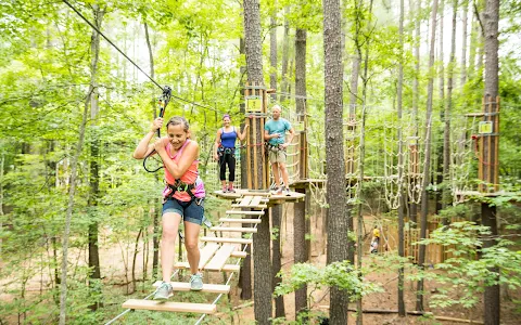 Go Ape Zipline and Adventure Park image