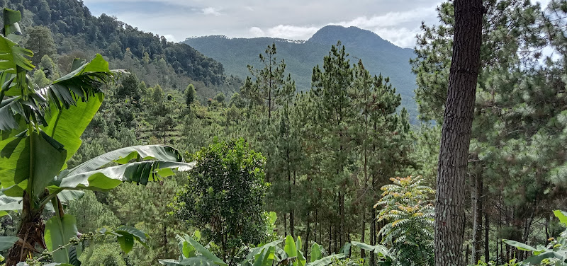 15 Tempat Wisata Alam Menarik di Jawa Barat