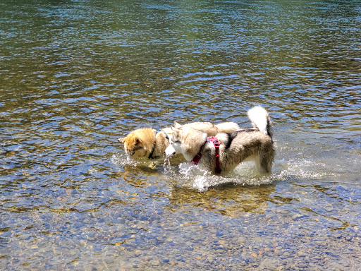 Park «Lord Hill Park», reviews and photos, 12921 150th St SE, Snohomish, WA 98290, USA