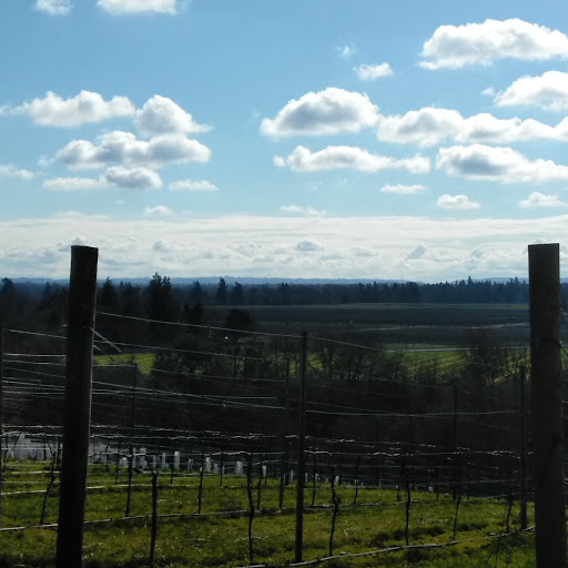 Vineyard «Stangeland Vineyards & Winery», reviews and photos, 8500 Hopewell Rd NW, Salem, OR 97304, USA