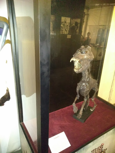 Amusement Park «House of Horror - Haunted Carnival», reviews and photos, 1455 NW 107th Ave, Doral, FL 33172, USA