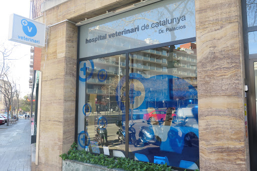 Hospital Veterinario de Catalunya - Sarrià en Barcelona