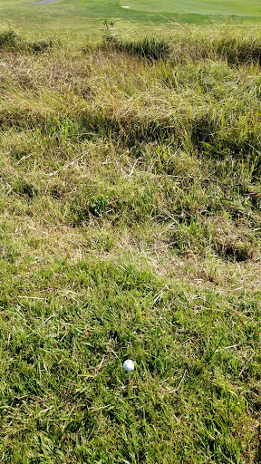 Public Golf Course «The Links at Brigantine Beach», reviews and photos, 1075 N Shore Dr, Brigantine, NJ 08203, USA