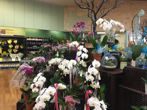 Grocery Store «Pavilions», reviews and photos, 4365 Glencoe Ave, Marina Del Rey, CA 90292, USA