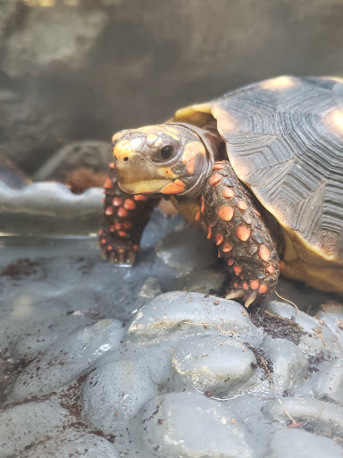 Pet Supply Store «Petco Animal Supplies», reviews and photos, 4908 Kingston Pike, Knoxville, TN 37919, USA