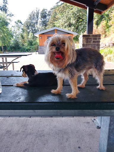 Park «Mount Talbert Nature Park», reviews and photos, 10945 SE Mather Rd, Clackamas, OR 97015, USA