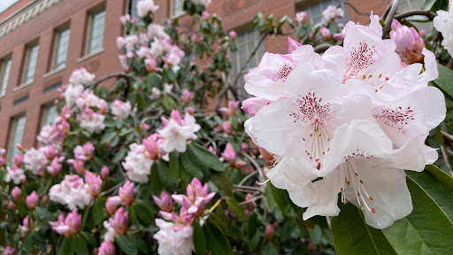 Book Store «The Duck Store - Campus», reviews and photos, 895 E 13th Ave, Eugene, OR 97401, USA