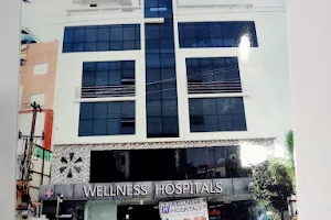 Wellness Hospitals image