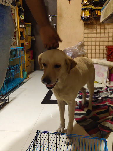 Animal Gurukul Pet Shop