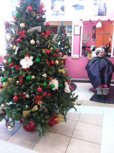 1802 E Harding Way, Stockton, CA 95209, USA