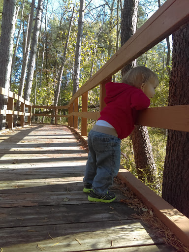 Nature Preserve «Reinstein Woods Nature Preserve», reviews and photos, 93 Honorine Dr, Depew, NY 14043, USA