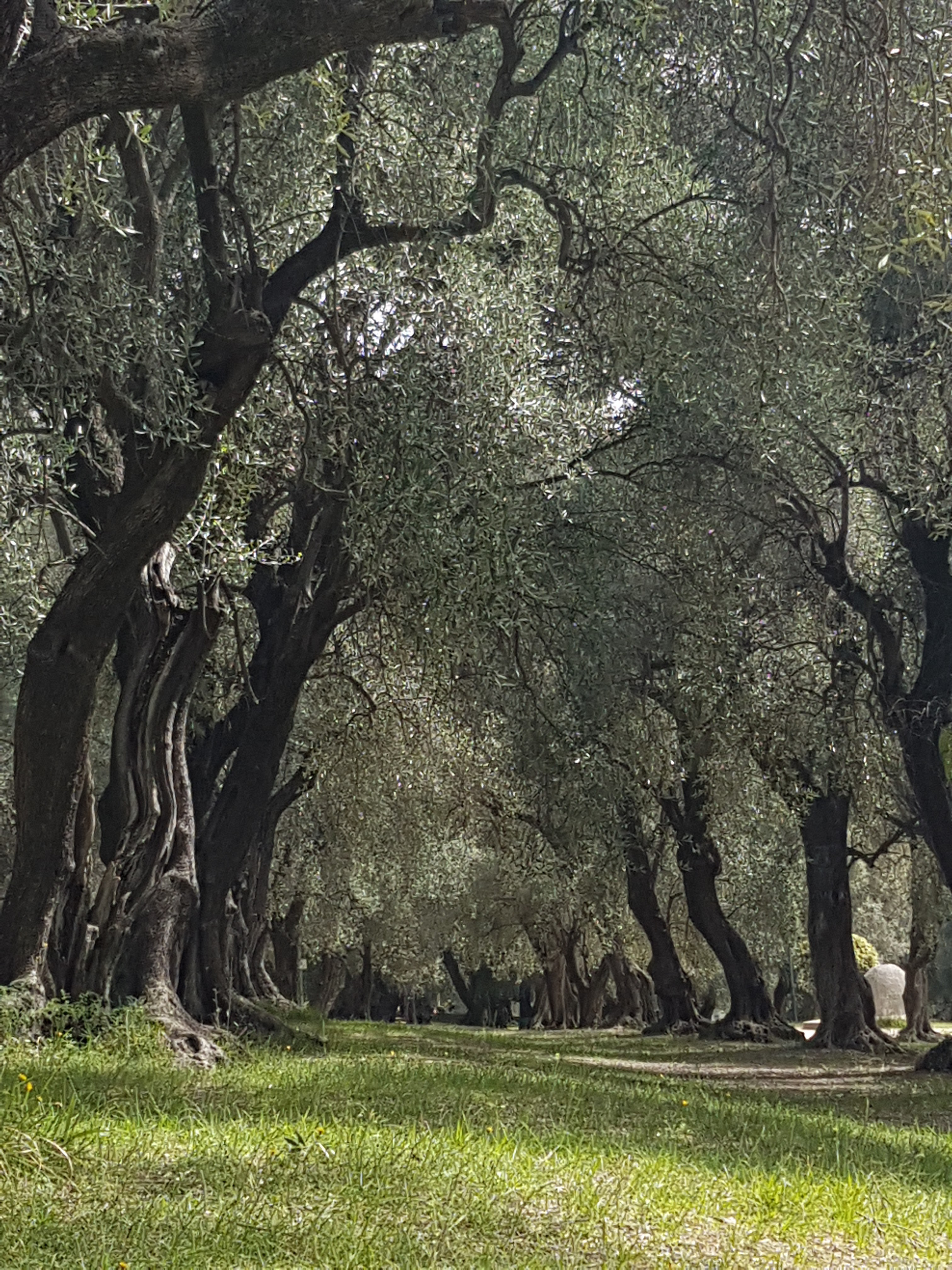 Photo n° 2 de l'avis de Sylvie.o fait le 23/04/2019 à 15:32