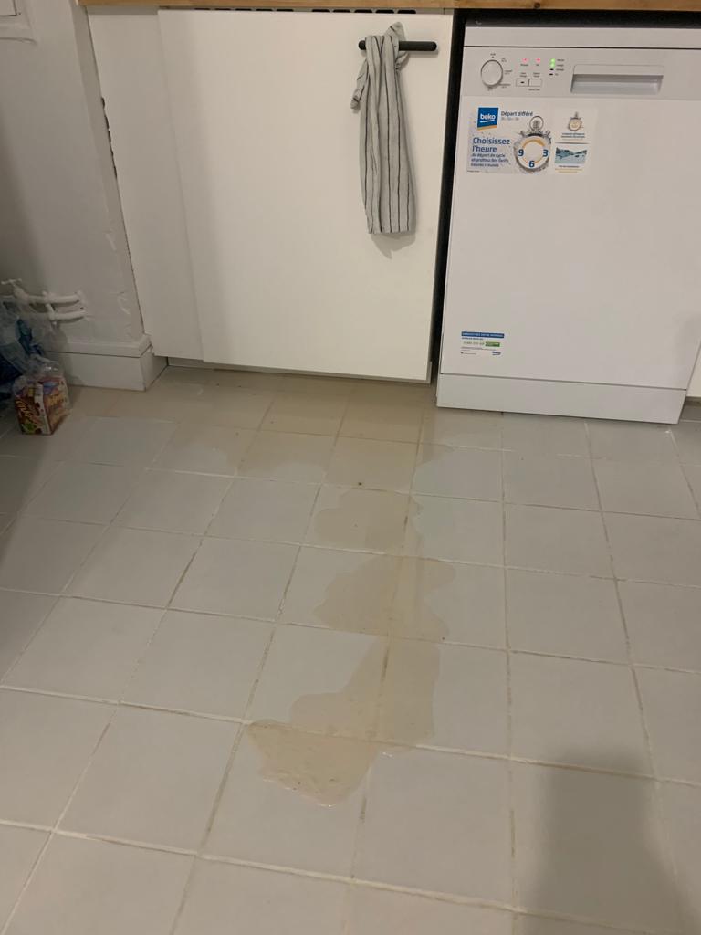Photo n° 3 de l'avis de Gautier.e fait le 18/02/2022 à 15:28