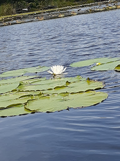 Park «Red Bug Lake Park», reviews and photos, 3600 Red Bug Lake Rd, Casselberry, FL 32707, USA