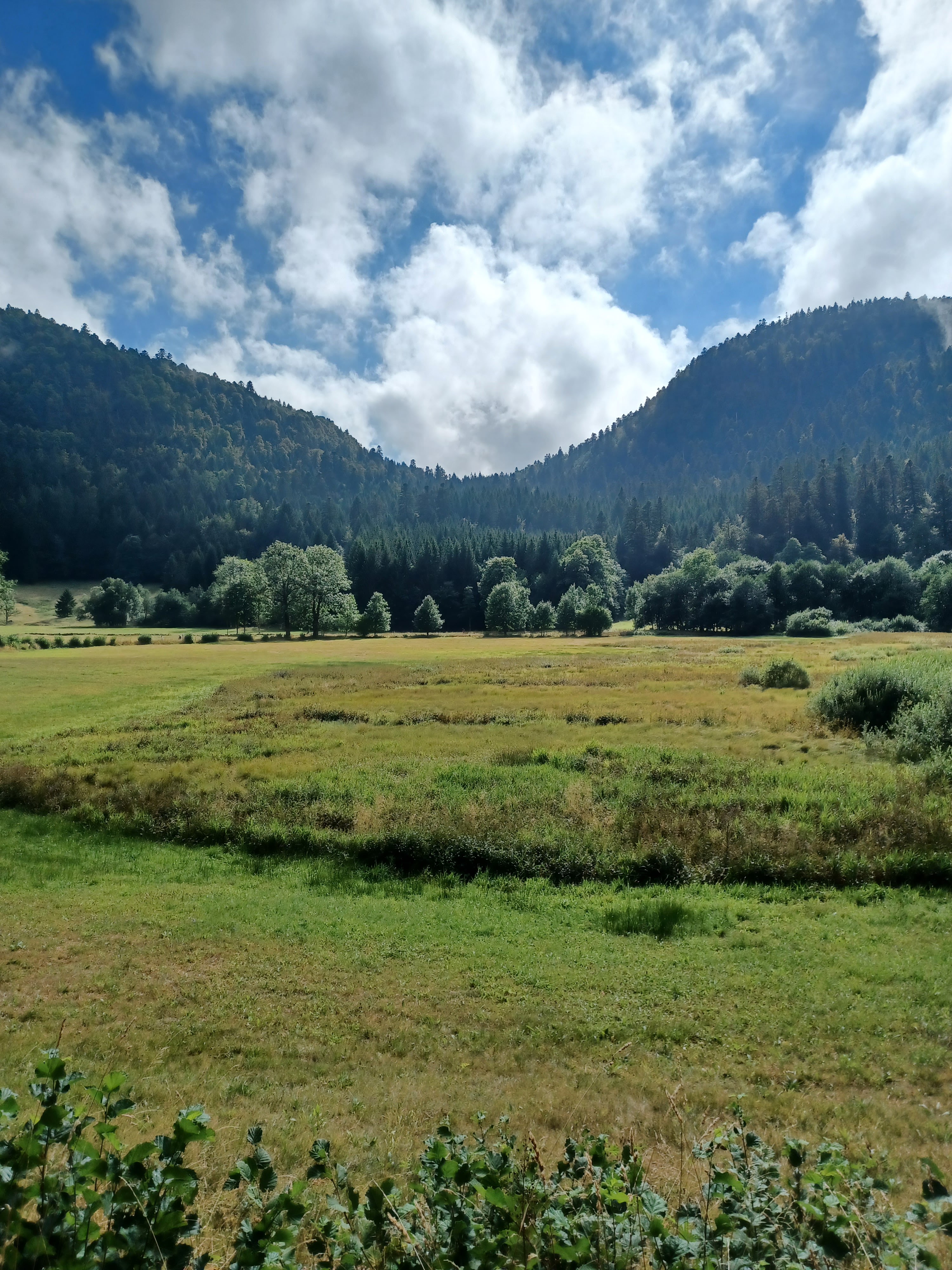 Photo n° 2 de l'avis de Véronique.i fait le 15/08/2022 à 18:52