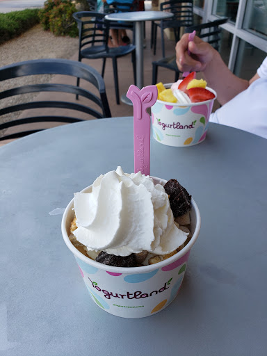 Frozen Yogurt Shop «Yogurtland», reviews and photos, 5635 Centennial Center Blvd, Las Vegas, NV 89149, USA