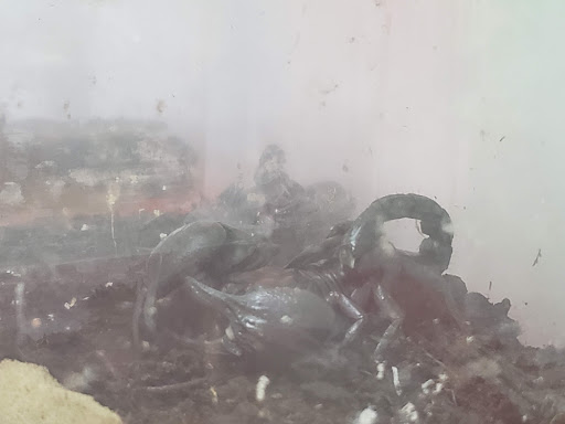 Pet Supply Store «Valley Feed», reviews and photos, 1486 Freedom Blvd, Watsonville, CA 95076, USA