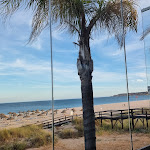 Photo n°1 de l'avis de Klaus.. fait le 10/06/2022 à 14:04 sur le  Gaivota Branca à Lagos