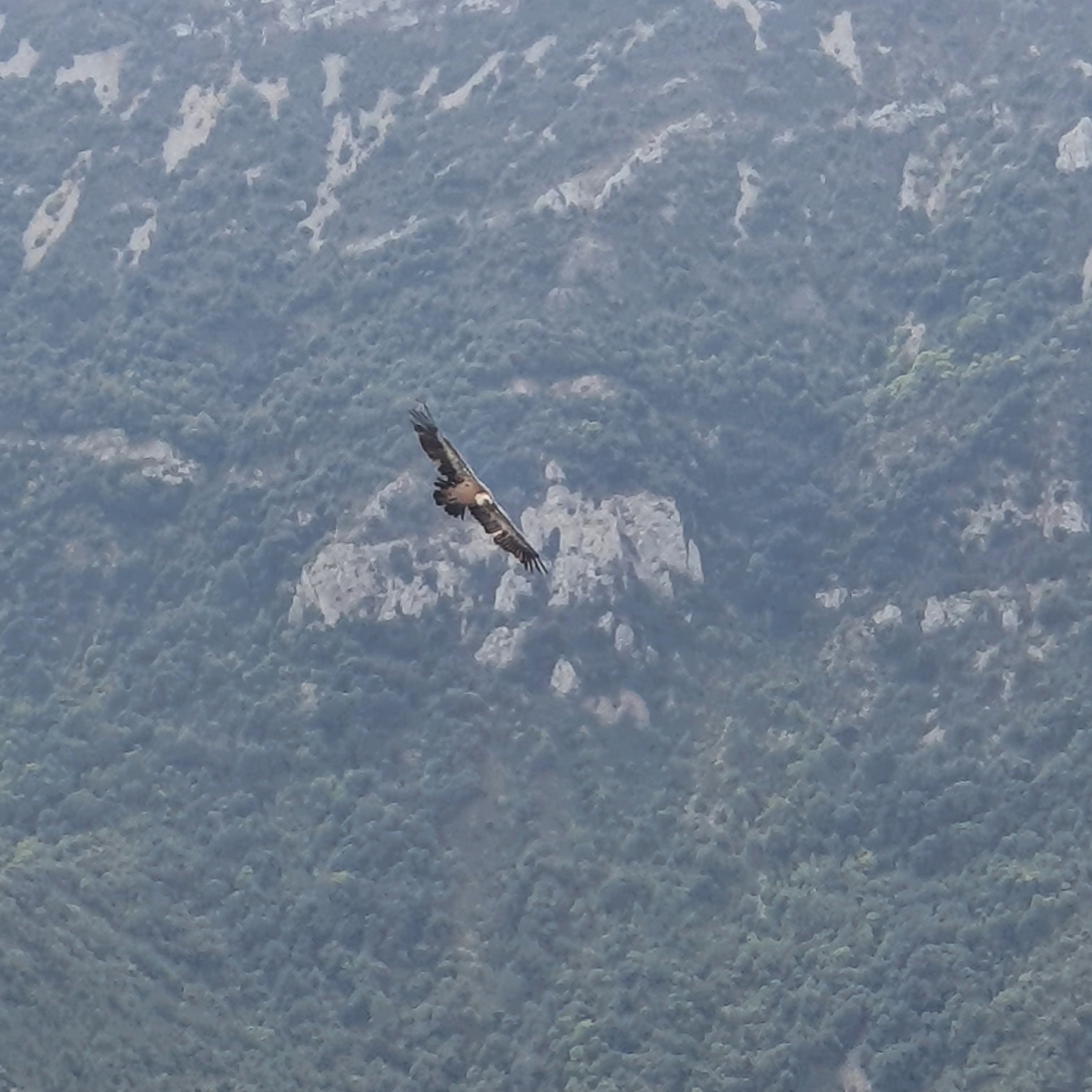 Photo n° 2 de l'avis de jm. fait le 14/09/2022 à 13:52