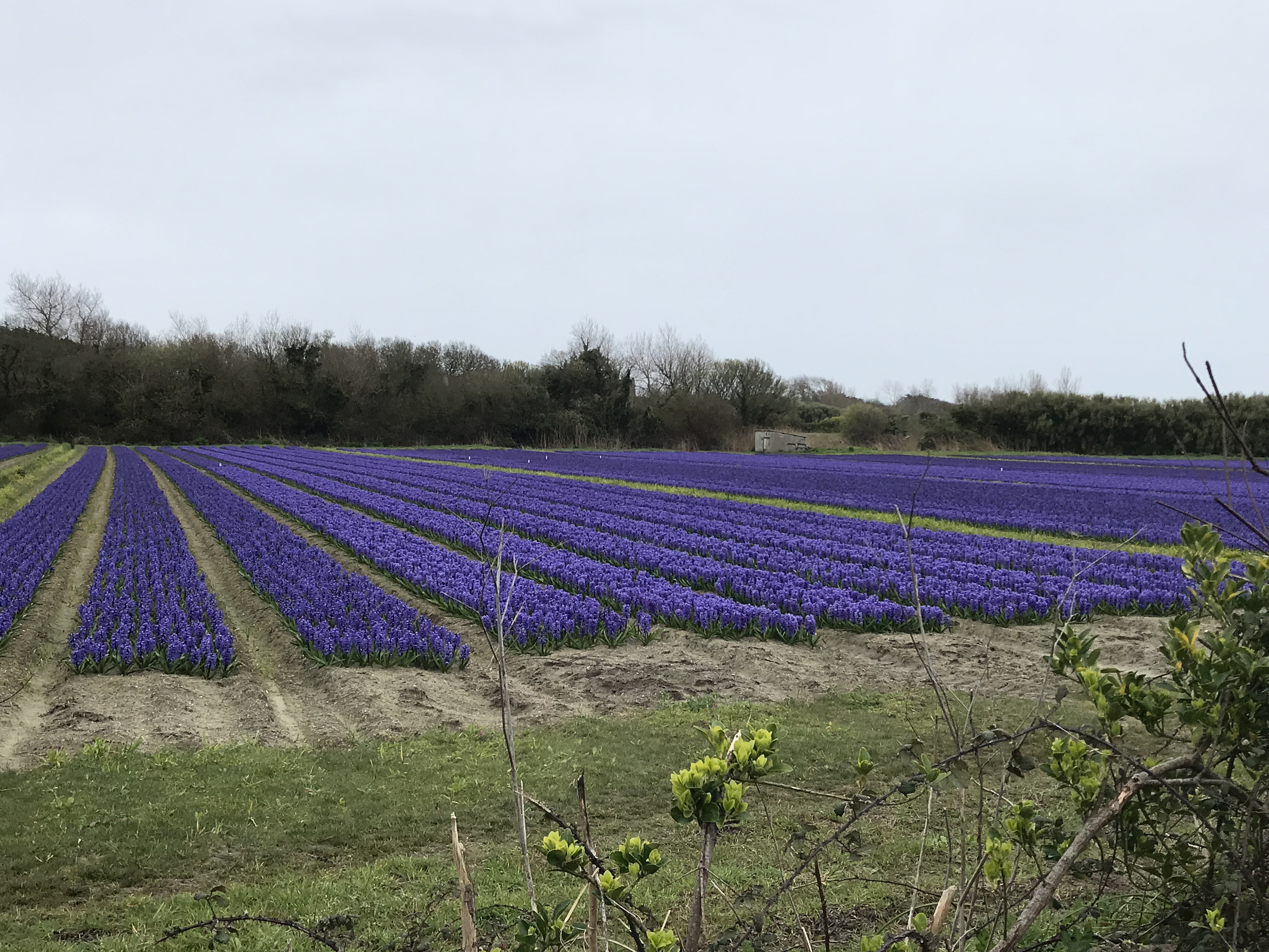 Photo n° 2 de l'avis de Jean-Marie.U fait le 11/03/2022 à 10:42