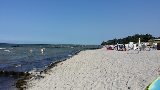 Strand am Schwarzen Busch