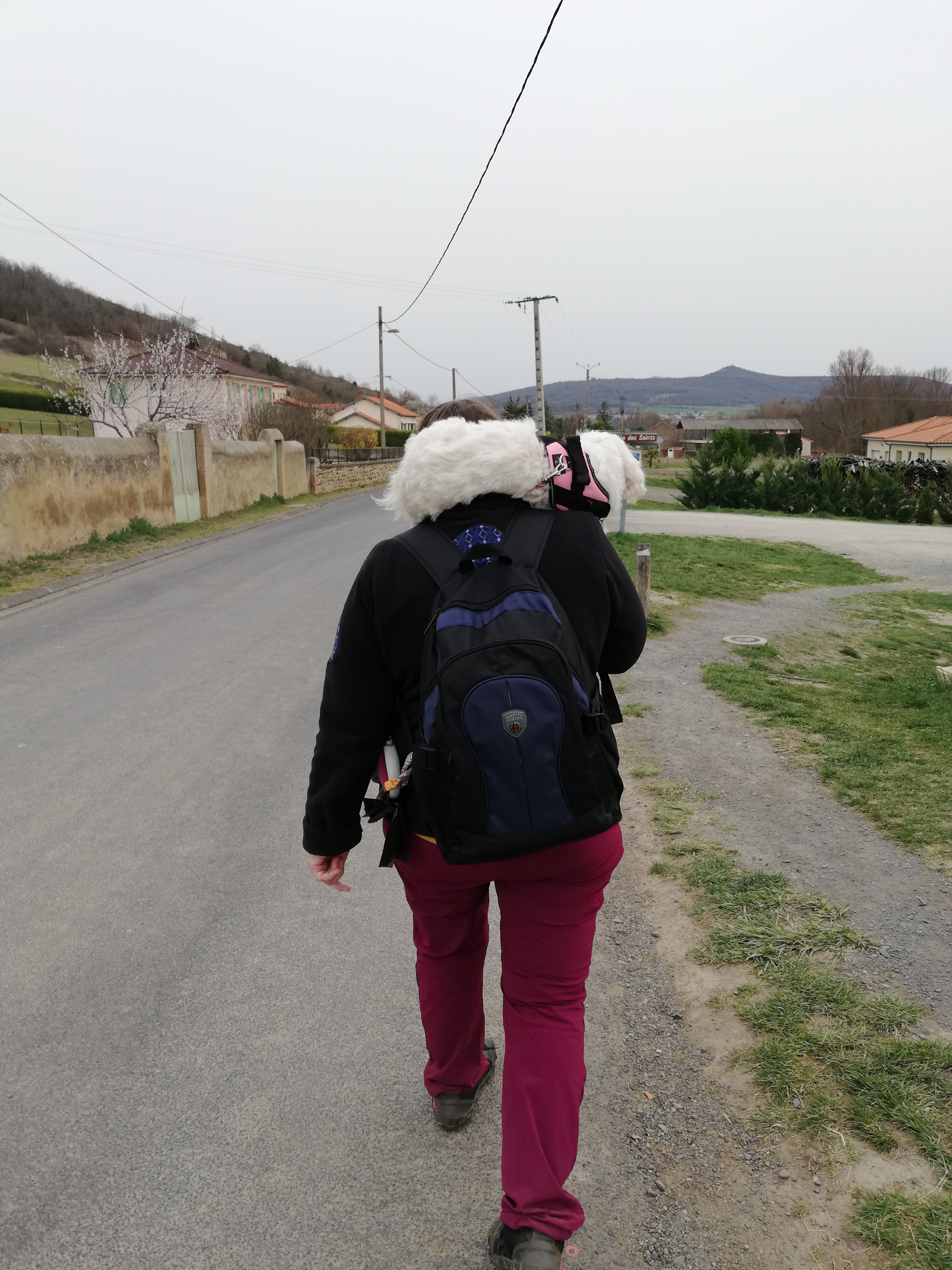 Photo n° 17 de l'avis de Nathalie.U fait le 03/03/2021 à 15:28