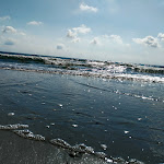 Photo n°1 de l'avis de luciana.a fait le 18/08/2017 à 16:25 sur le  Bagno Susy n°24 à Marina Romea