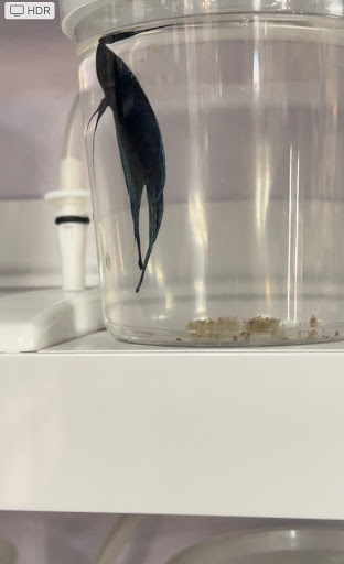 Pet Store «Pet Station Reno», reviews and photos, 5065 S McCarran Blvd, Reno, NV 89502, USA