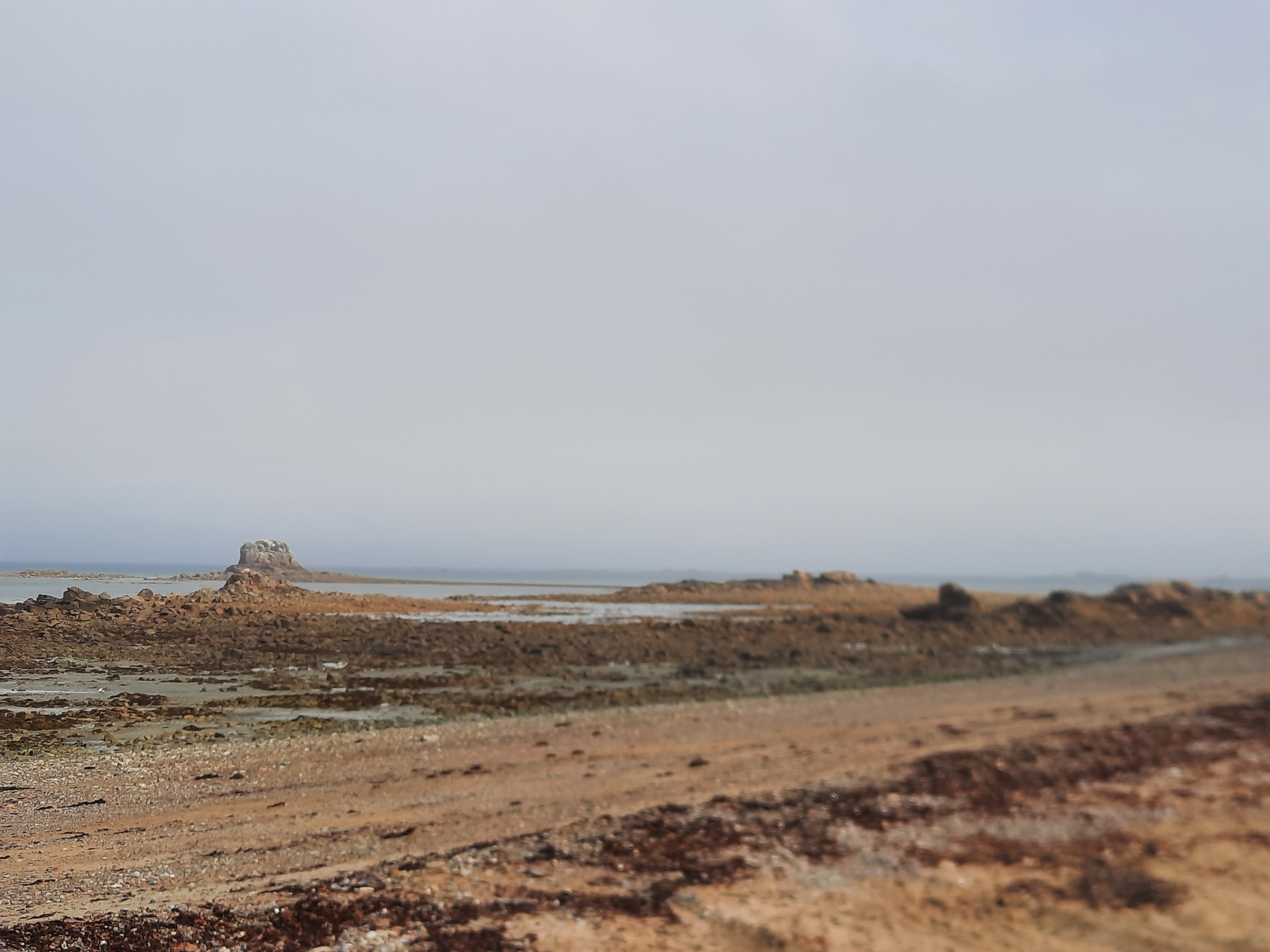 Photo n° 9 de l'avis de Patricia.i fait le 09/09/2021 à 19:21