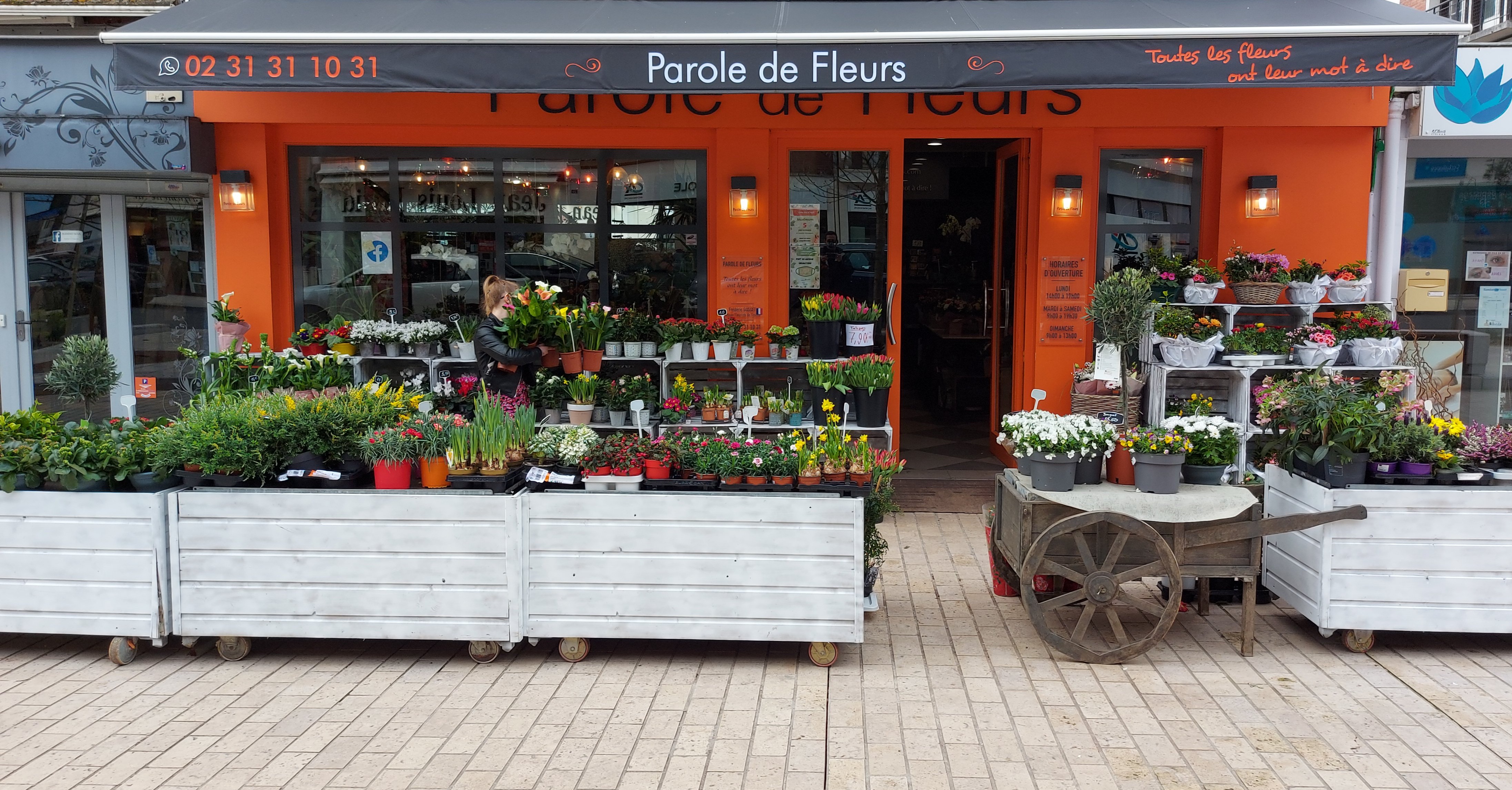 Photo n° 3 de l'avis de Franck.e fait le 17/03/2021 à 18:32