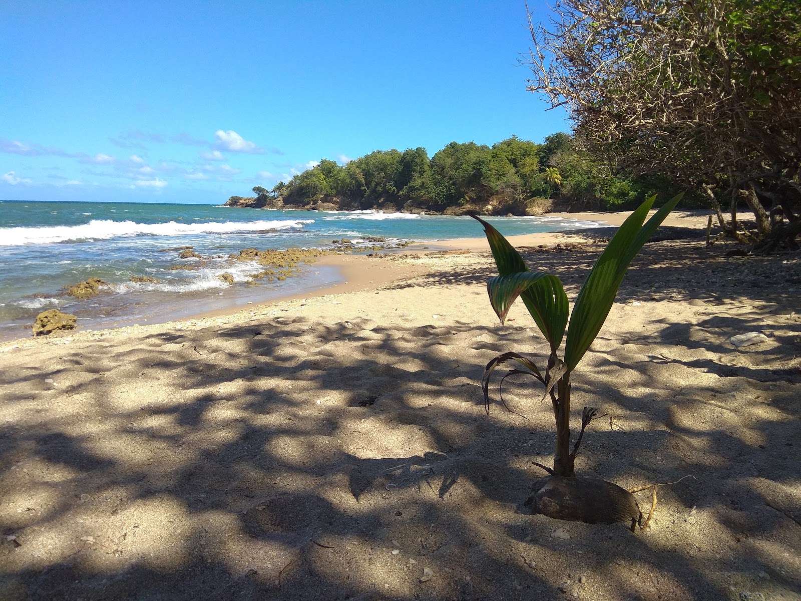 Photo de Plage de Nogent zone sauvage