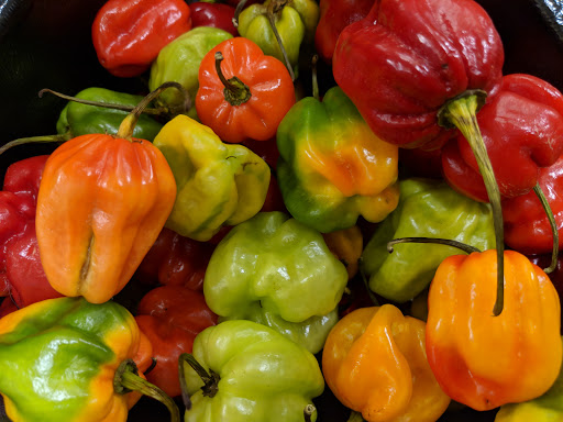 Grocery Store «Stop & Shop», reviews and photos, 2020 Norwich-New London Turnpike, Montville, CT 06353, USA