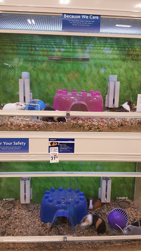 Pet Supply Store «PetSmart», reviews and photos, 1986 Mt Zion Rd, Morrow, GA 30260, USA