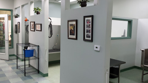 Pet Store «Essential Pet», reviews and photos, 17920 Cottonwood Dr, Parker, CO 80134, USA