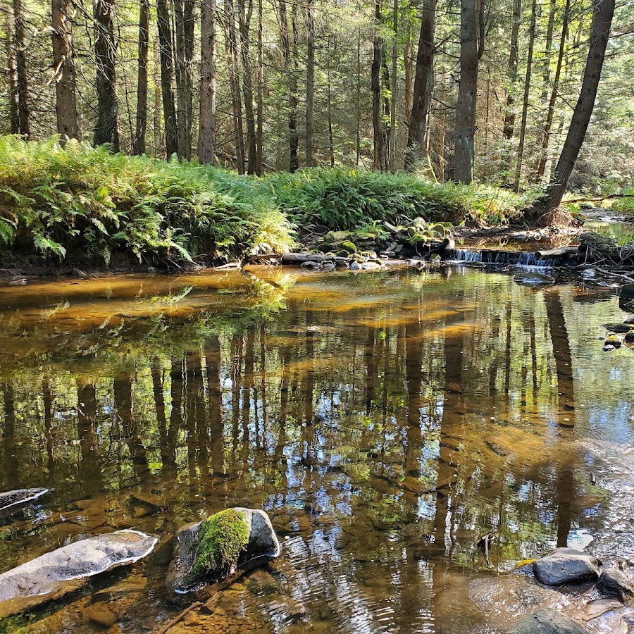 McCalls Dam State Park