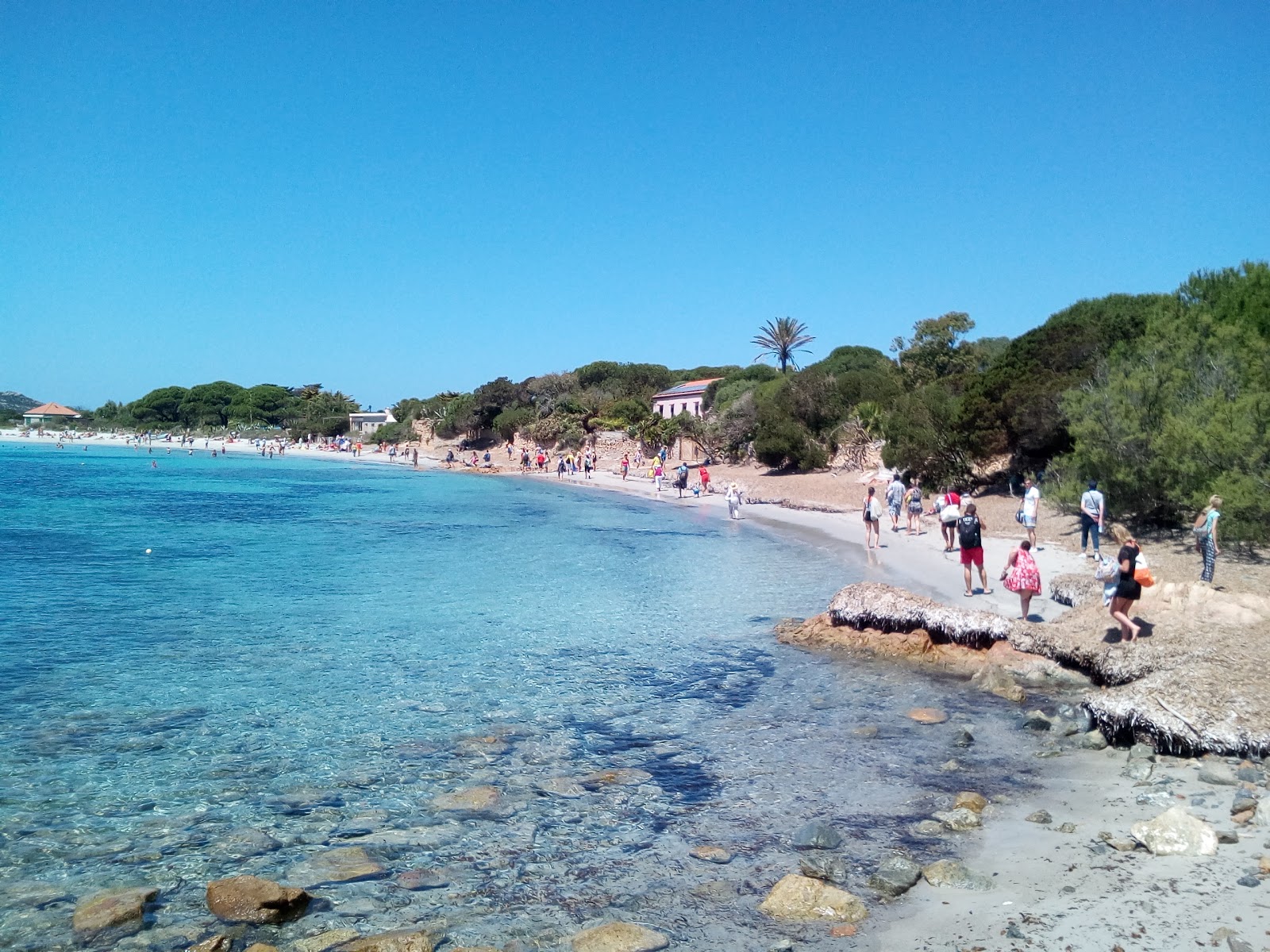 Photo of Santa Maria beach with partly clean level of cleanliness