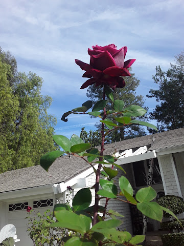 Reyes Adobe Historical Site by null