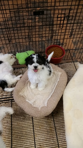 Pet Supply Store «Pet Ranch», reviews and photos, 3823 E 120th Ave, Denver, CO 80233, USA