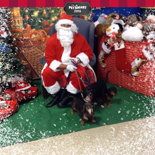 Pet Supply Store «PetSmart», reviews and photos, 6060 Long Prairie Rd, Flower Mound, TX 75028, USA