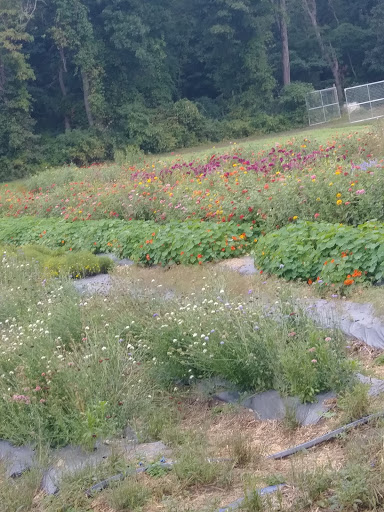 Farm «Langwater Farm», reviews and photos, 209 Washington St, North Easton, MA 02356, USA