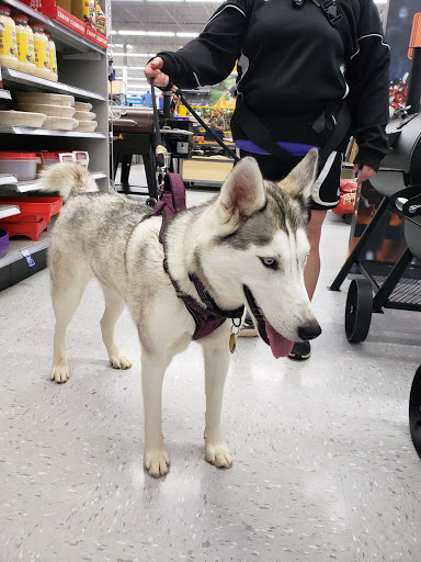 Sporting Goods Store «Academy Sports + Outdoors», reviews and photos, 193 Stonebrook Pl, Jackson, TN 38305, USA