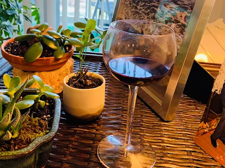 North Haven Maine breweries