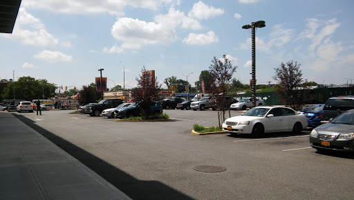 Pet Supply Store «Pet Supplies Plus», reviews and photos, 135-25 79th St, Howard Beach, NY 11414, USA