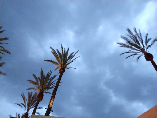 Movie Theater «Edwards Cerritos 10», reviews and photos, 12761 Towne Center Dr, Cerritos, CA 90703, USA