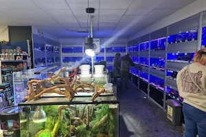 Southern Aquatics & pets - Aquatic Superstore (formally watermarque) image