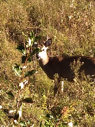 Historical Place «Saratoga National Historical Park», reviews and photos, 648 NY-32, Stillwater, NY 12170, USA